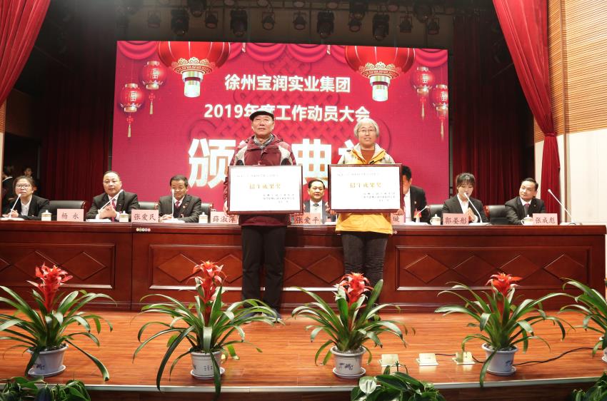 乐动网页版2019年度工作动员大会---集团公司领导为先进单位和先进个人代表颁奖